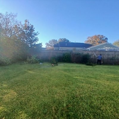 Professional Landscaping Advice and Outdoor Maintenance Tips