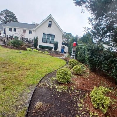 Landscaping Tips and Lawn Care Guide